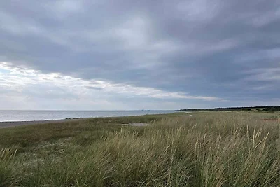 6 Personen Ferienhaus in Store Fuglede-By...