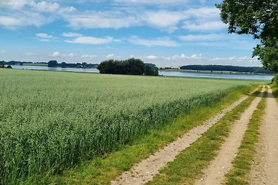 Ferienhaus in Maasholm mit Schwimmbecken