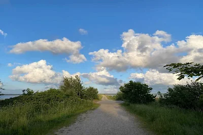 Afgelegen toevluchtsoord bij Lyngbo Heide