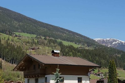 Wohnung Johann in Wald im Pinzgau mit Balkon