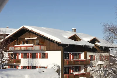 Alpenstern Finy  (xl)
