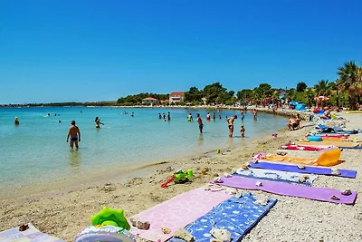 Appartamento Marino, Vir