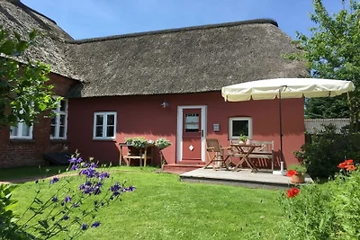Ferienwohnung in Nebel mit Wifi