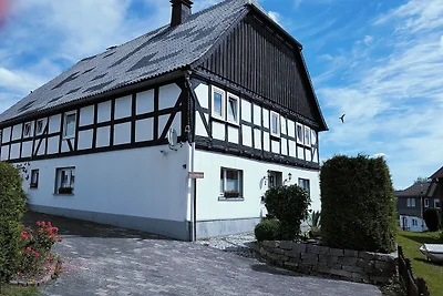 Wohnung in der Nähe des Skigebiets in...