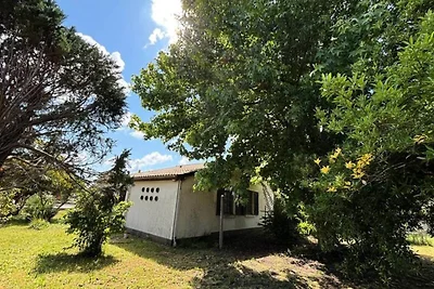 Gemütliches Haus nahe ruhiger Landschaft