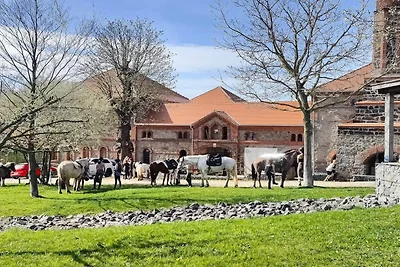 Appartement mit Sonnenterrasse