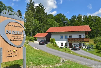 Appartamento nella Foresta Bavarese