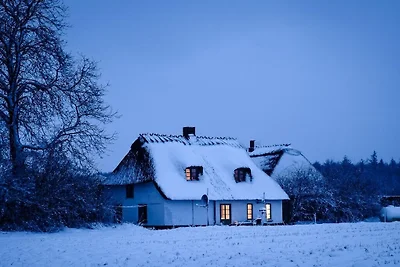 Ferienhaus in Schlei mit 2 Schlafzimmer