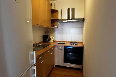 Apartment Branko I in Porec, Istria