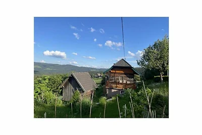 La capanna di montagna di Andi