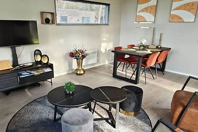 Ferienhaus in RW Haarle mit Barbecue