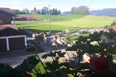 Ferienwohnung mit 1 Schlafzimmer