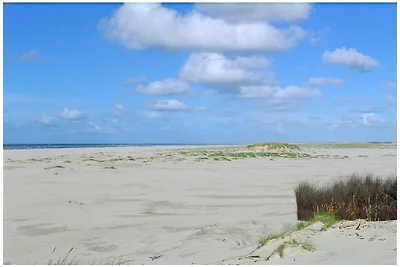 Alte Druckerei Ferienwohnung Bodoni