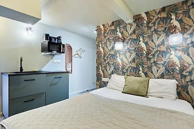 Charmantes, klimatisiertes Studio im Zentrum ...