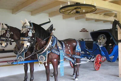 Vakantie- en paardenboerderij Zankl