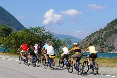 4 persoons vakantieparkhuis in Lærdal