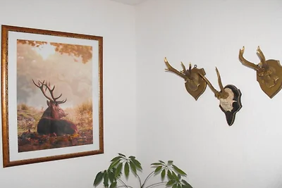 Ferienwohnung mit 1 Schlafzimmer
