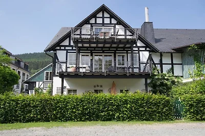 Feldmann-Schütte