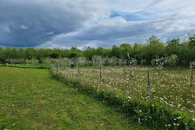 Meereszauber in Aabenraa -- By Traum...