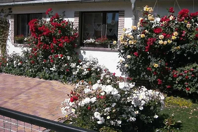 Ferienhaus mit 2 Schlafzimmer