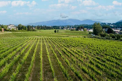 Bauernhaus in Lucca mit Weinbergblick