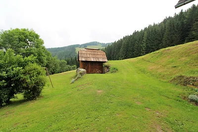 Chalet in Eberstein nahe Saualpe Skigebiet