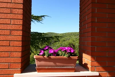 Caratteristica casa vacanze a Magione con...