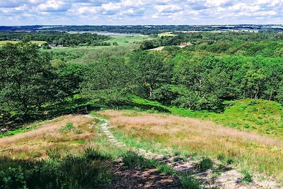 8 persone case ad Gjern-By Traum