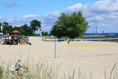 Im Naturpark Stettiner Haff