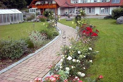 Hetzlenmühle 3-kamerappartement nr. 2