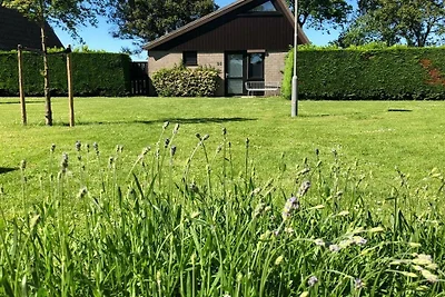 Ferienhaus in Ellemeet mit Barbecue