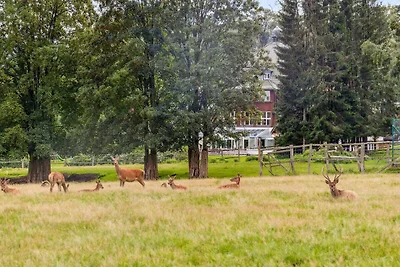 Ferienhaus am Hotel mit Gastro und Wellnes
