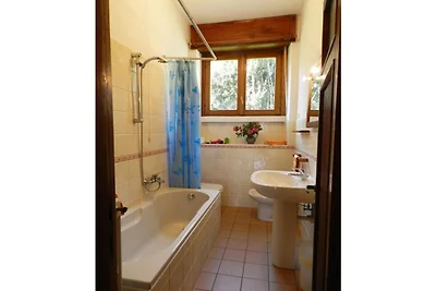 Ferienhaus in Musso mit Schwimmbecken