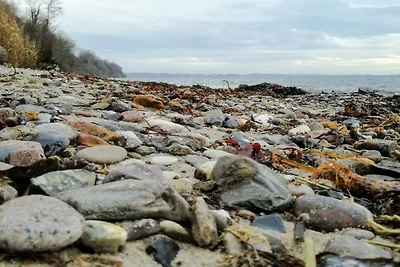 Zeezicht retraite met Spa -- By Traum...