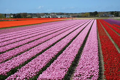 Casa vacanze ben tenuta a Noordwijkerhout sul...