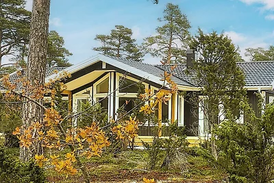 5 Sterne Ferienhaus in Ljugarn