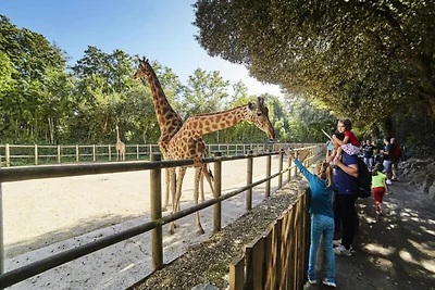 Appartement in La Chaume vlakbij Grand Beach