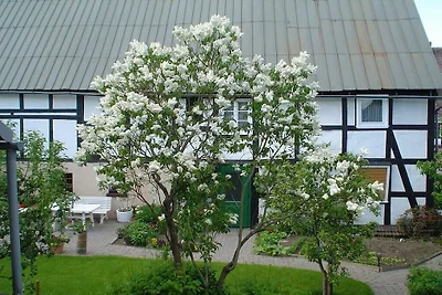 Wittmar in Medebach/Sauerland