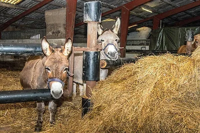 4 Personen Ferienhaus in Højer