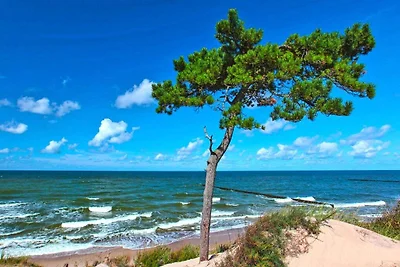 Vakantiepark, Wicie