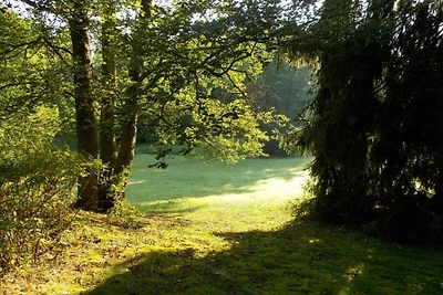 Chalet mit Gartenblick bei Amerongse Berg
