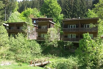 Holiday home in the Großbreitenbach