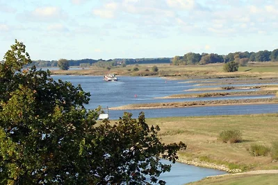 La STALLA più accogliente