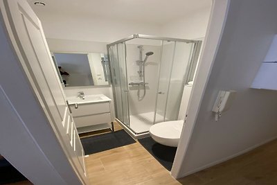 2-Zimmer-Wohnung in Toulhouse