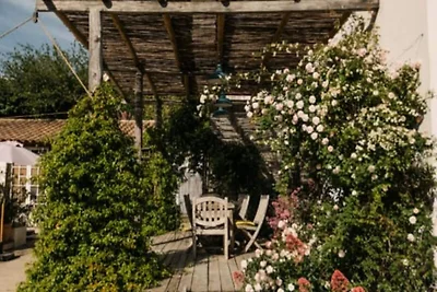 Seltene Perle mit Panoramablick