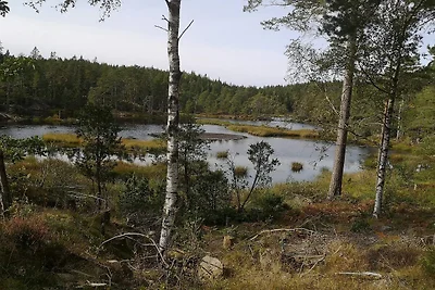 4 persoons vakantie huis in Brålanda