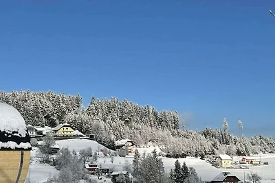 La capanna di montagna di Andi