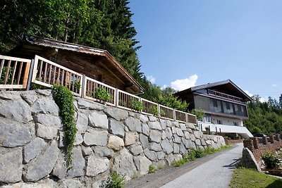 Penthouse Tauernfenster, Neukirchen