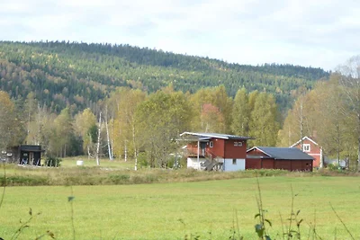 4 Sterne Ferienhaus in STÖLLET