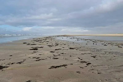 4 Personen Ferienhaus in Fanø